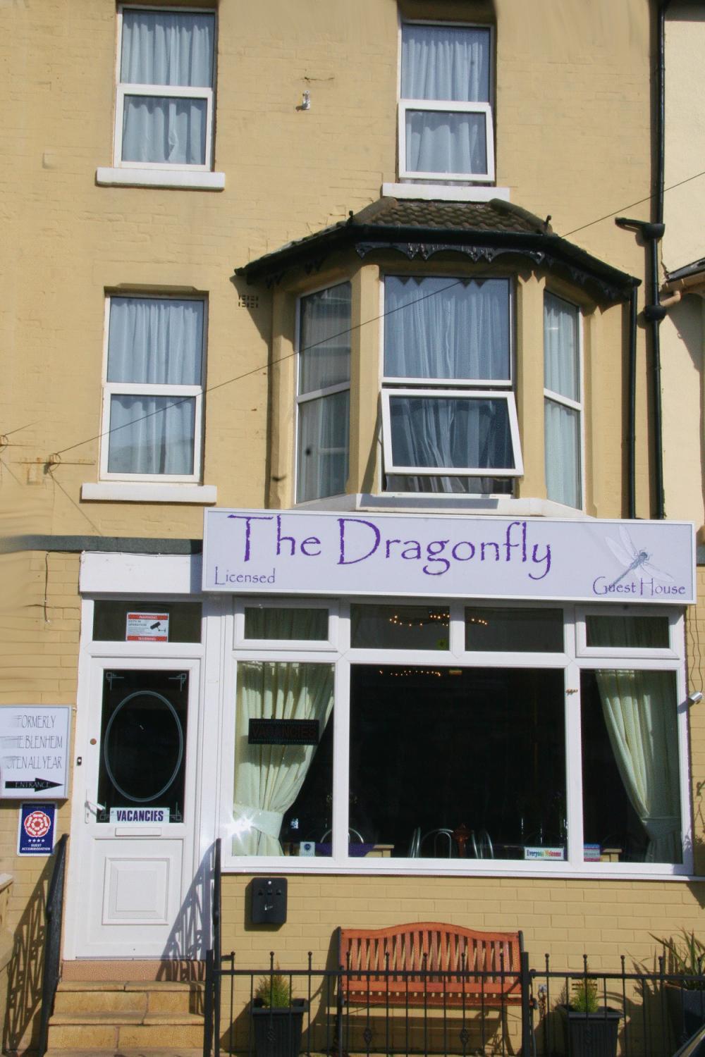 The Dragonfly — Photos 3